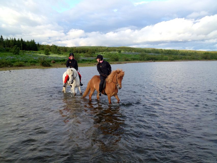 Reykjavik: Evening Sleipnir Horse Riding Tour with Pickup - Is $202 a fair price?