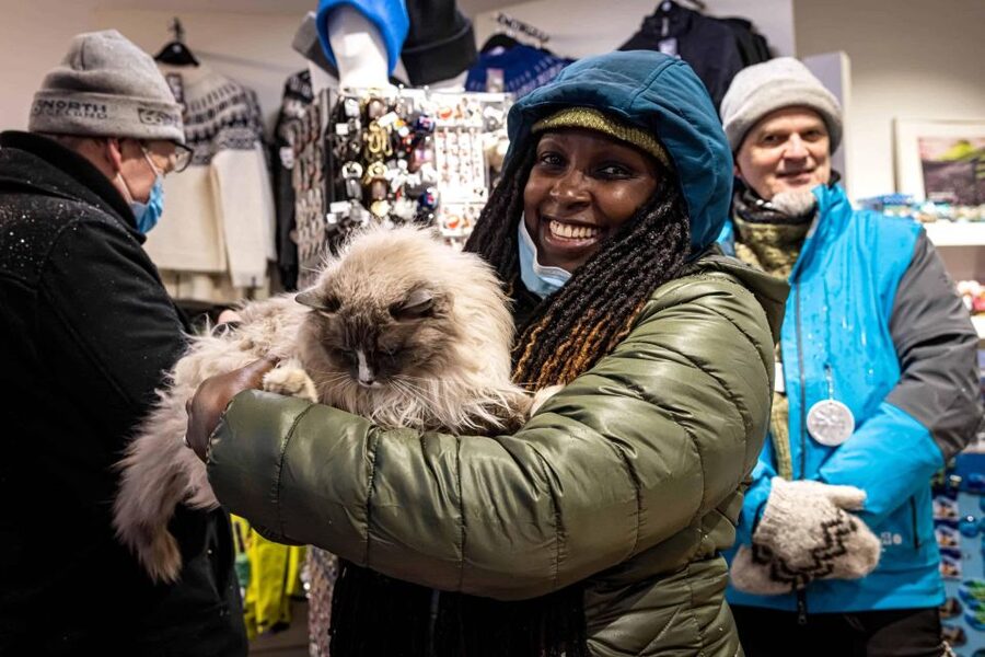 Reykjavik: Feline-Focused City Walking Tour - Why Reykjavik’s cats make a good city introduction