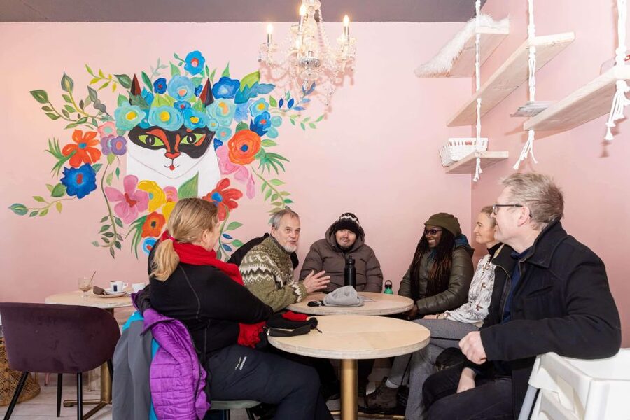 Reykjavik: Feline-Focused City Walking Tour - Hallgrimskirkja and the Einar Jónsson Museum
