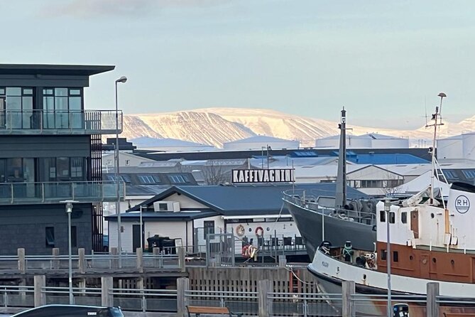 Reykjavik Food Tour - Old Harbor Walking Tour - Six or more stops, with food as the main event