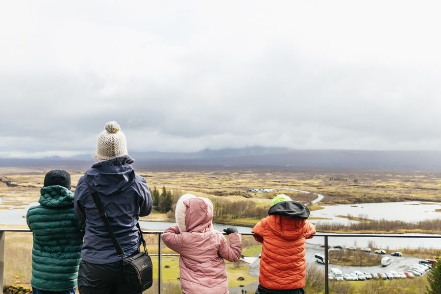 Reykjavik: Golden Circle, Crater & Blue Lagoon Minibus Tour - Gullfoss: the waterfall that earns its place