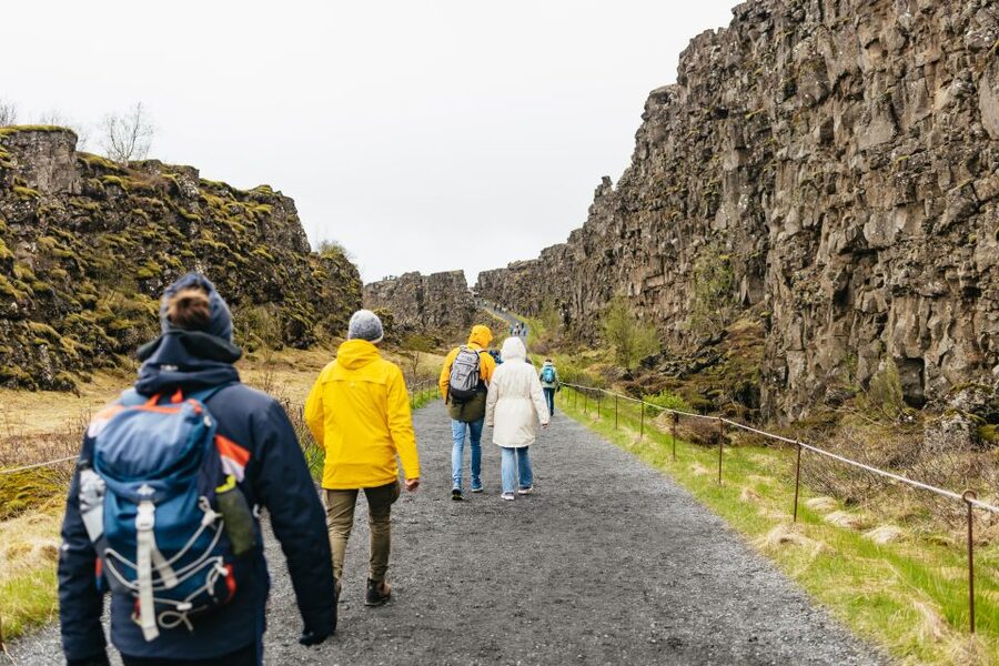 Reykjavik: Golden Circle, Crater & Blue Lagoon Minibus Tour - What the guide adds to the day