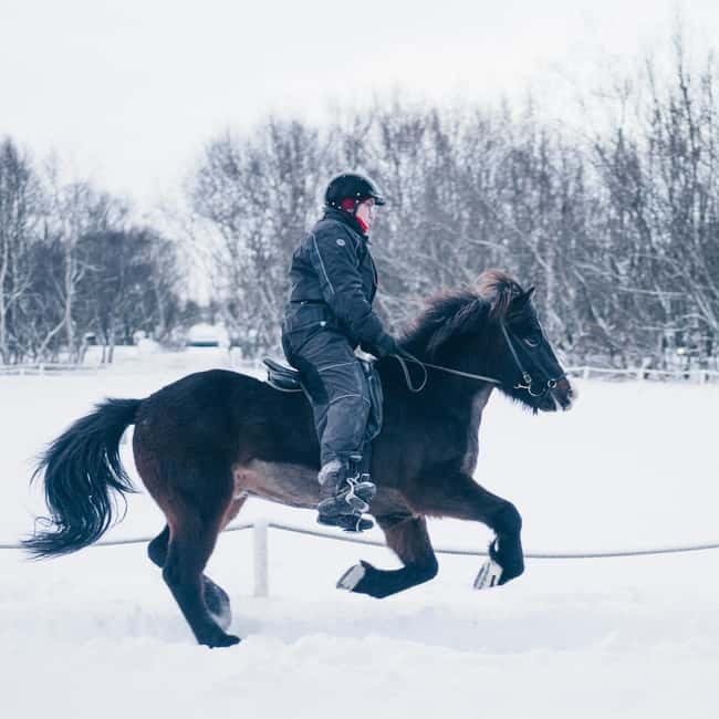 Reykjavik: Golden Circle, Fridheimar, & Sky Lagoon Day Trip - Sky Lagoon gives the long day a soft landing