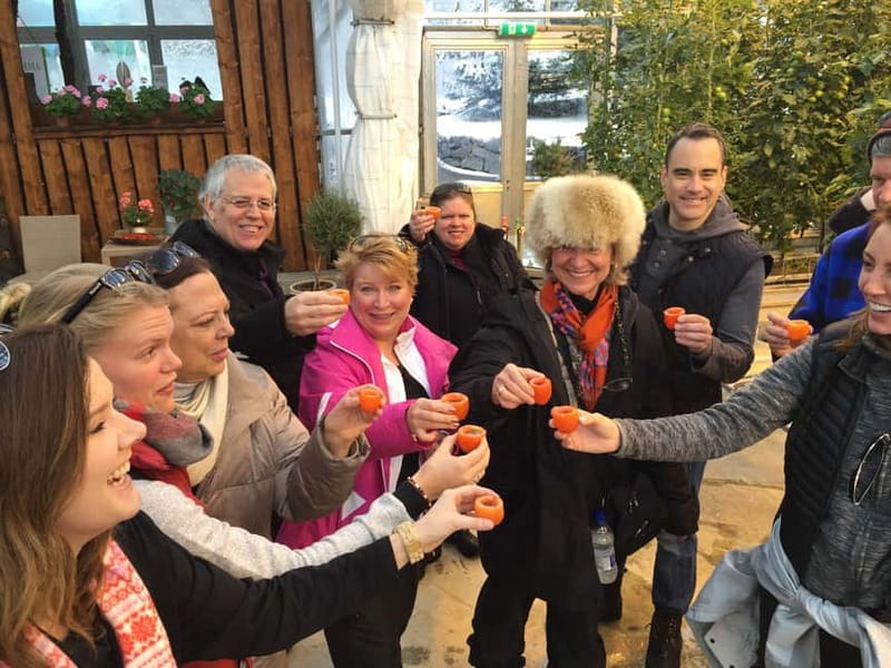 Reykjavik: Golden Circle, Fridheimar, & Sky Lagoon Day Trip - Friðheimar brings geothermal farming to life