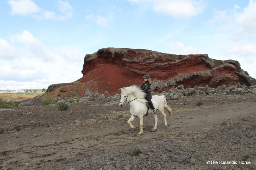 Reykjavík: Horse Riding Tours - The 1 to 1.5-hour ride through Redhill