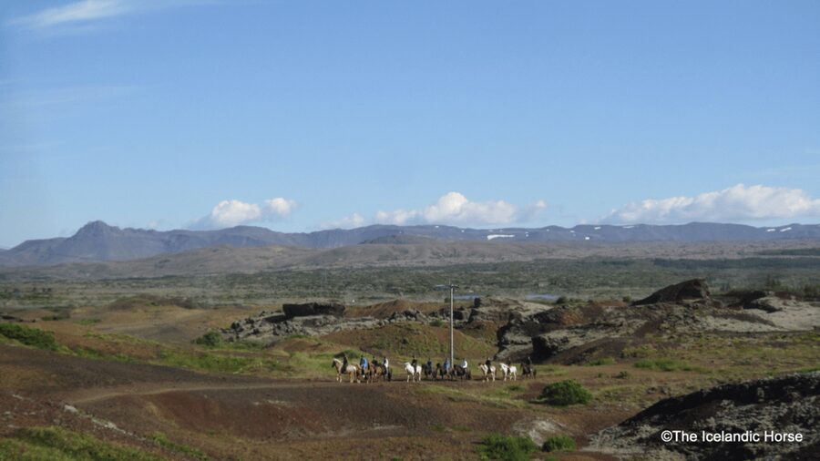 Reykjavík: Horse Riding Tours - Who will enjoy this ride most?