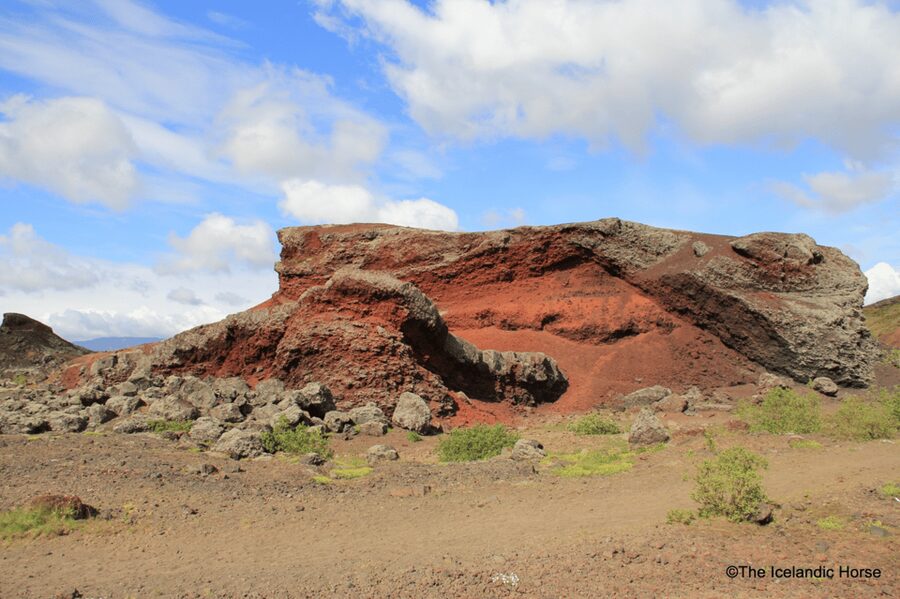 Reykjavík: Horse Riding Tours - A useful lesson before you meet your horse