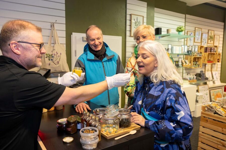 Reykjavik: Icelandic Food Tour - The famous fermented shark tasting