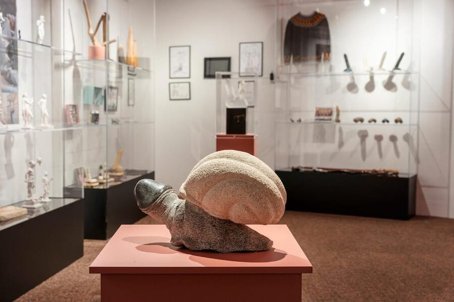 Reykjavik: Icelandic Phallological Museum Entry Ticket - A collection built from 120 species