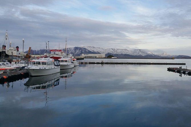 Reykjavik Main Sights and Hidden Spots: A Self-Guided Audio Walk - Harpa brings architecture and music into the route