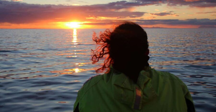 Reykjavík: Midnight Sun Whale Watching Cruise - The midnight sun is part of the attraction