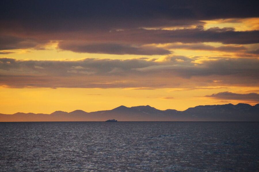 Reykjavík: Midnight Sun Whale Watching Cruise - Weather, cancellations, and planning around uncertainty