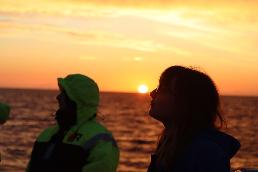 Reykjavík: Midnight Sun Whale Watching Cruise - Should you book the midnight sun whale cruise?