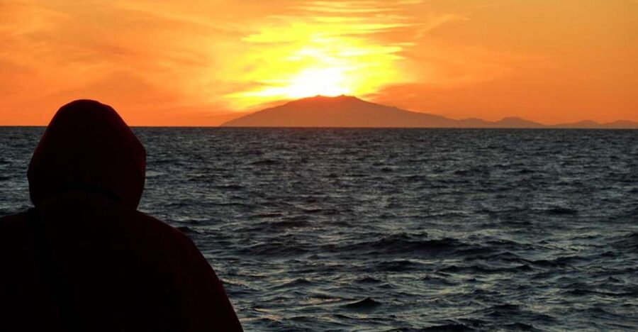 Reykjavik: Midnight Sun Whale Watching Tour - The midnight sun changes the whole mood