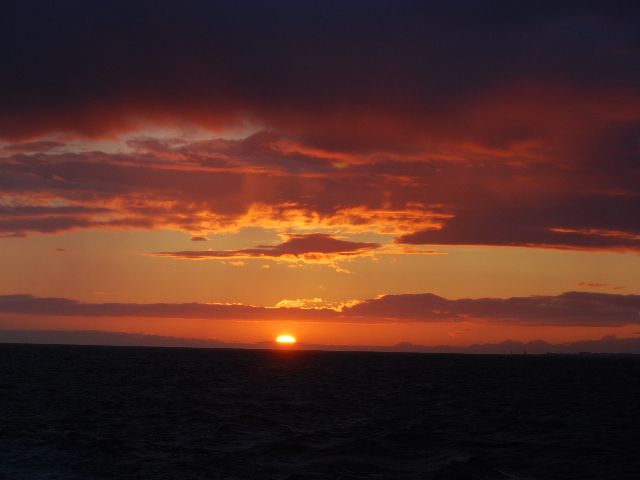 Reykjavik: Midnight Sun Whale Watching Tour - What happens if you see no whales