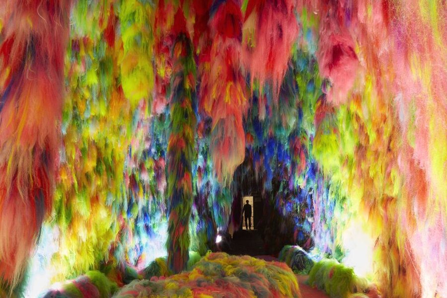 Reykjavík: Multi-Sensory Art Installation Chromo Sapiens - Key points to know before you go