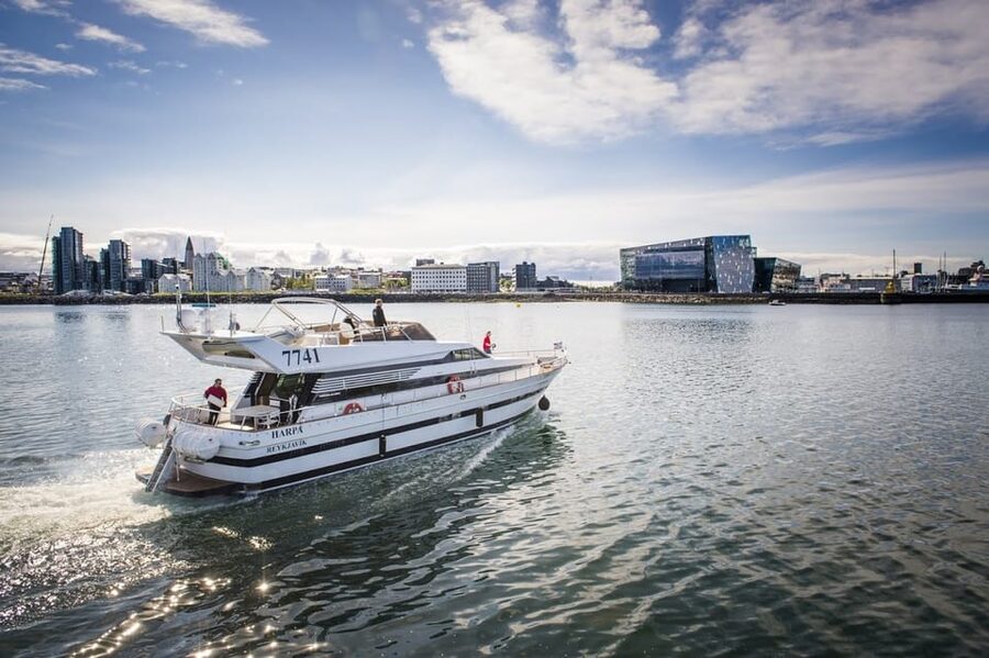 Reykjavík: New Year's Eve Northern Lights Yacht Cruise - Northern Lights expectations on a fixed midnight schedule
