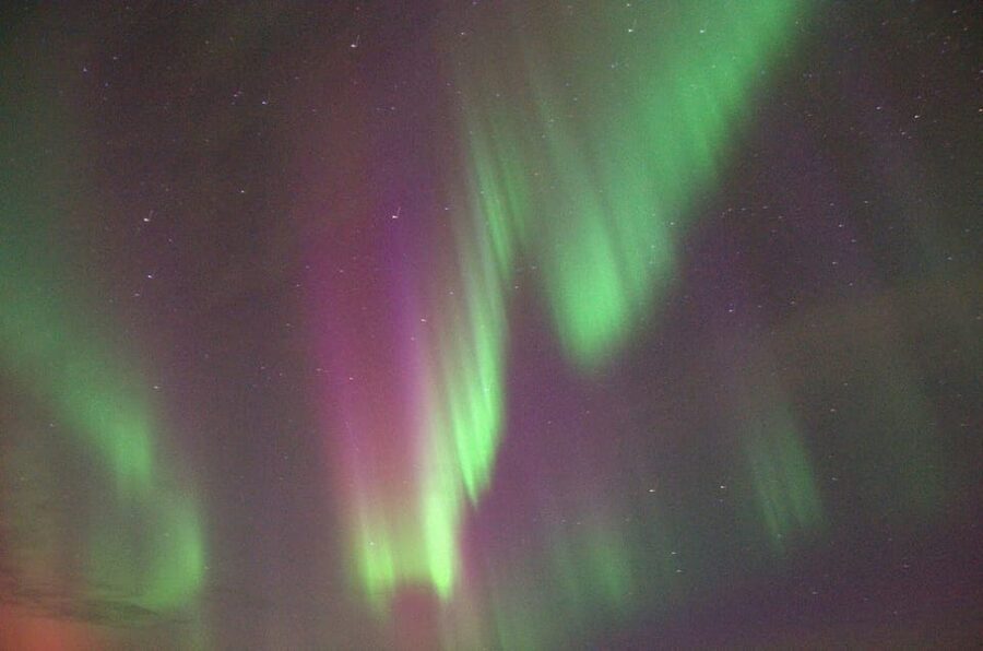 Reykjavík: New Year's Eve Northern Lights Yacht Cruise - Is $140 a fair price?