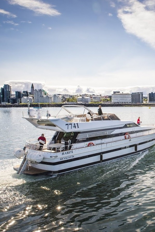 Reykjavík: New Year's Eve Northern Lights Yacht Cruise - Practical details before you reserve
