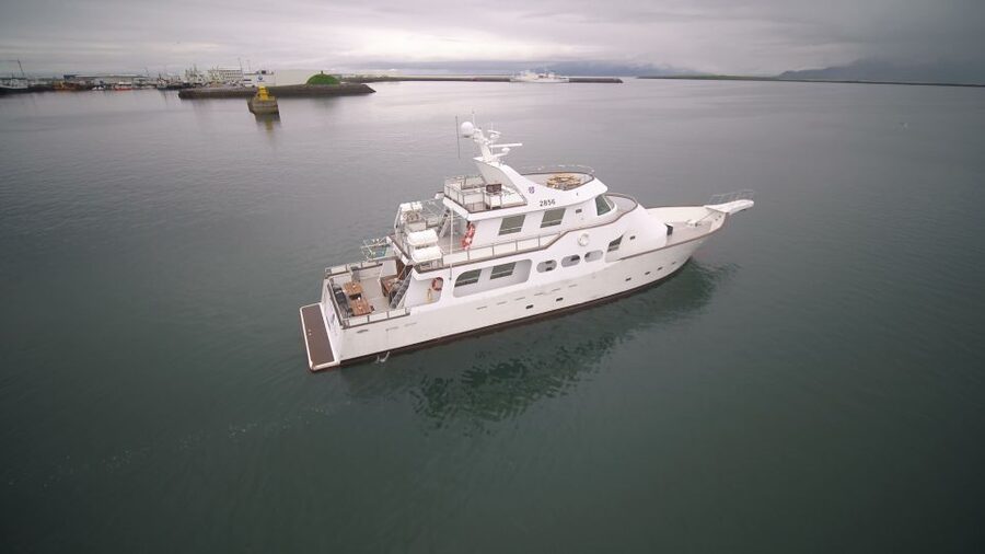 Reykjavik: New Years Fireworks Midnight Cruise - What the $170 price really buys you