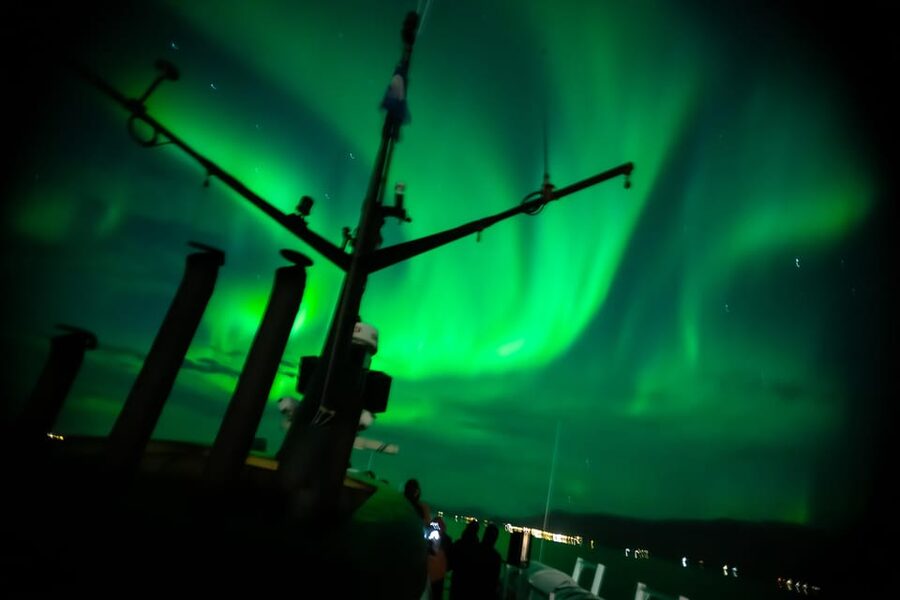Reykjavik: Northern Lights Guided Boat Tour with Photos - Practical details that affect your evening