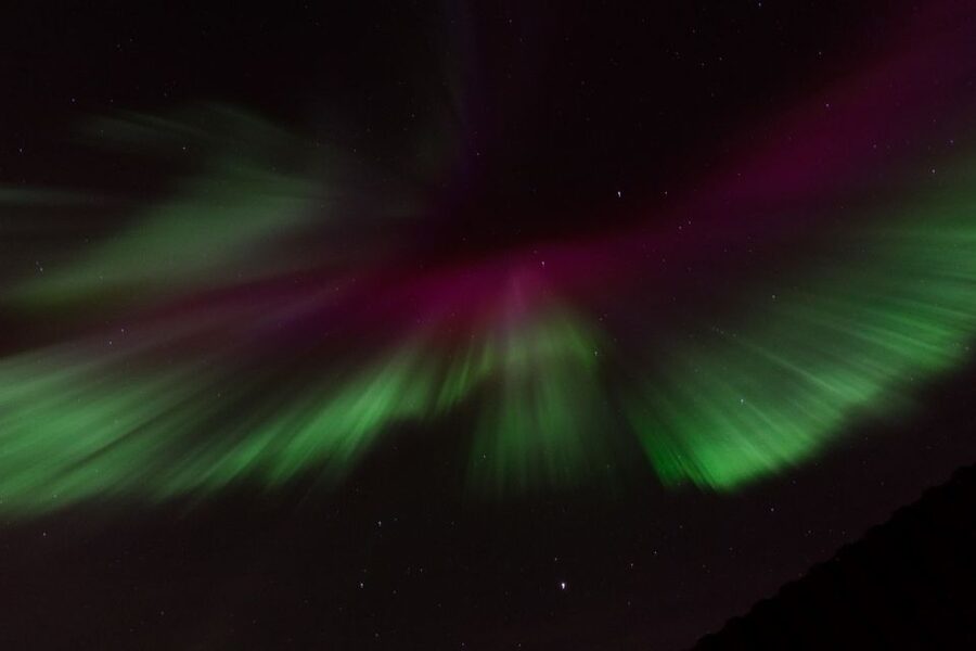 Reykjavik: Northern Lights Motor Yacht Cruise - What the crew adds to the night