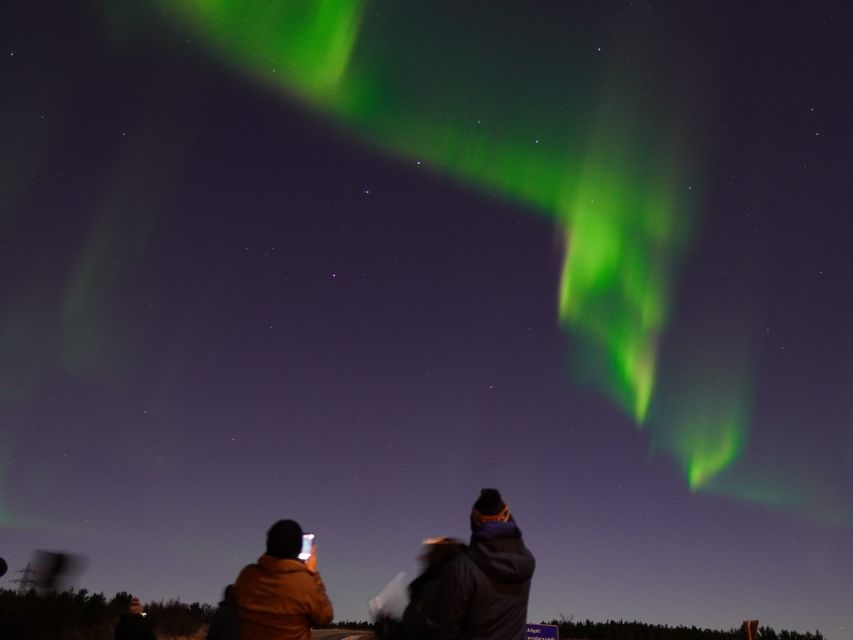 Reykjavik: Northern Lights Tour w/Pro Photos - Small Group - Who should book this experience