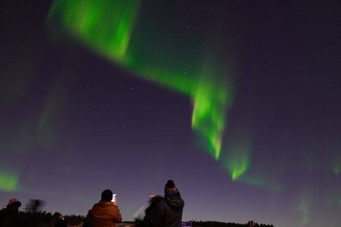 Reykjavik Northern Lights Tour with Pro Aurora Photos Small Group - Cold-weather planning that makes a real difference
