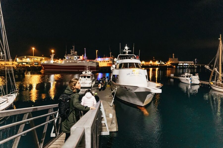 Reykjavik: Northern Lights Yacht Tour - Inside the yacht: hot chocolate, bar, and a needed break
