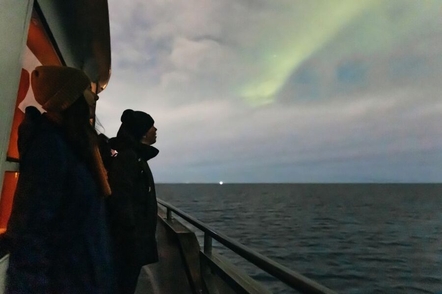 Reykjavik: Northern Lights Yacht Tour - Who will enjoy this evening cruise?