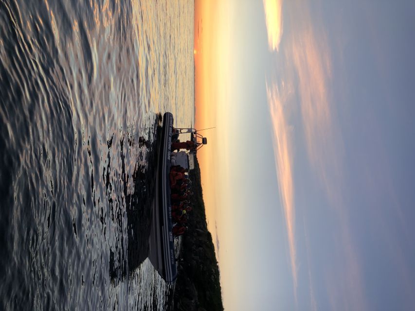 Reykjavik: Premium Whale and Puffin Watching Evening Tour - Is the $200 price fair?