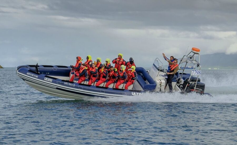 Reykjavik: Premium Whale Watching with Flexible Ticket - Searching Faxaflói Bay for whales and dolphins