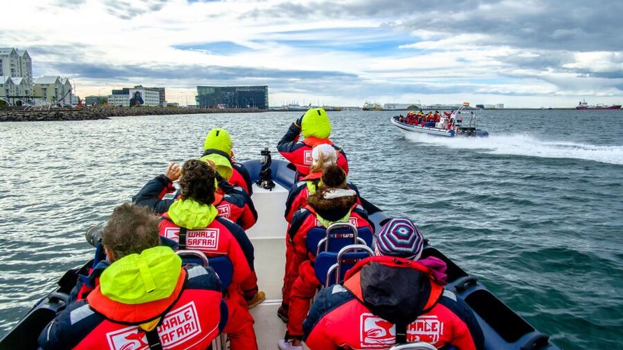 Reykjavik: Premium Whale Watching with Flexible Ticket - Who will enjoy this faster whale safari