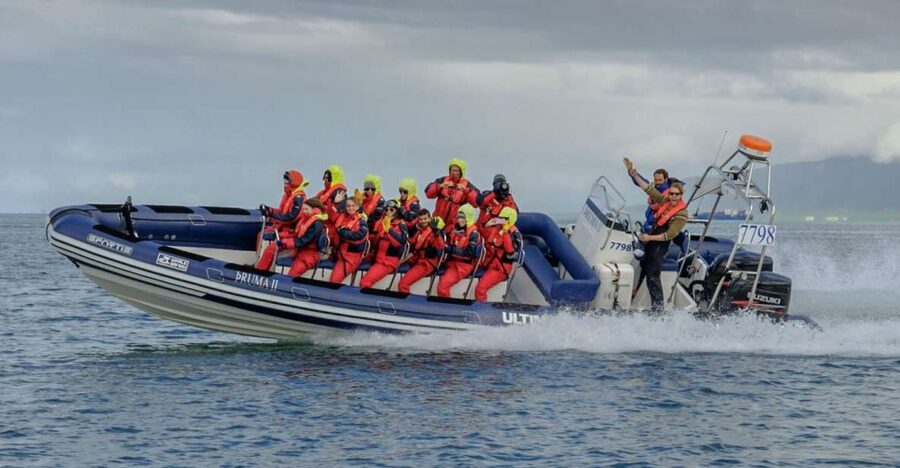 Reykjavik: Premium Whale Watching with Flexible Ticket - What the suspension seats mean on a rough sea