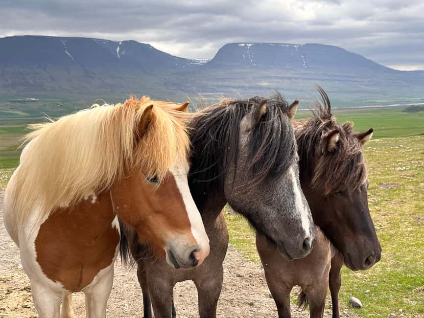 Reykjavik: PRIVATE Golden Circle tour with 5 TOP stops - Brúarfoss adds a quieter contrast