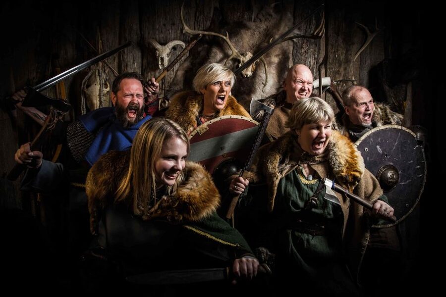 Reykjavik: Private Icelandic Viking Age Walking Tour - Who will get the most from this walk?