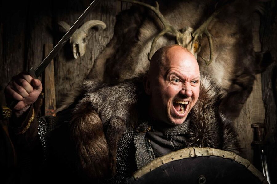 Reykjavik: Private Icelandic Viking Age Walking Tour - The Settlement Museum and Reykjavik’s first house