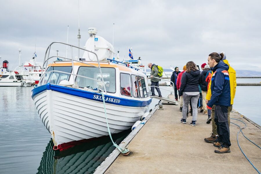 Reykjavik: Puffin Watching Boat Tour - Is one hour long enough?