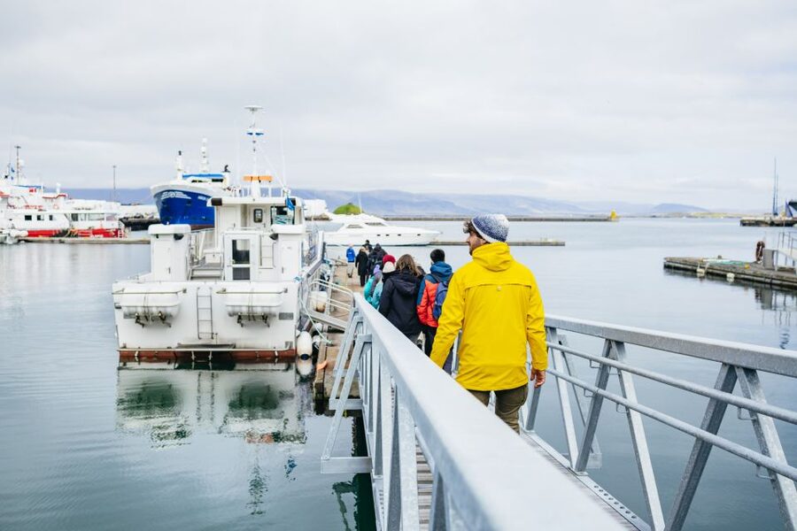 Reykjavik: Puffin Watching Boat Tour - What the $64 price buys you