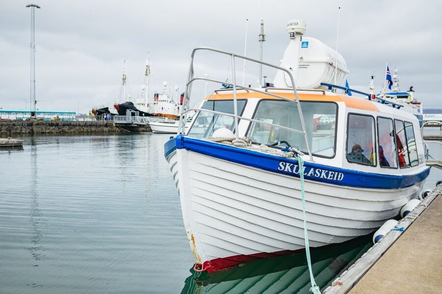 Reykjavik: Puffin Watching Boat Tour - Who will enjoy Old Skuli most?
