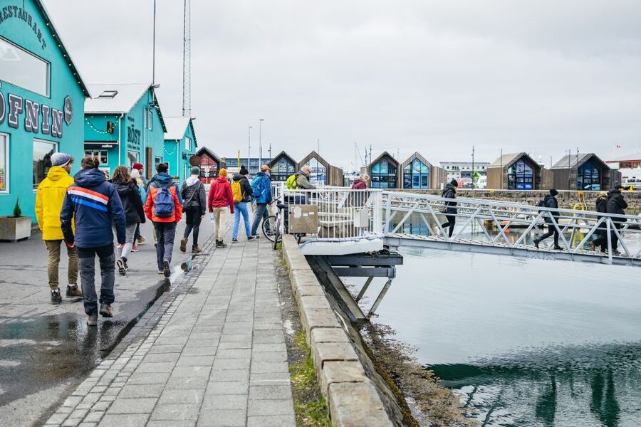 Reykjavik: Puffin Watching Boat Tour - Should you book this puffin boat tour?
