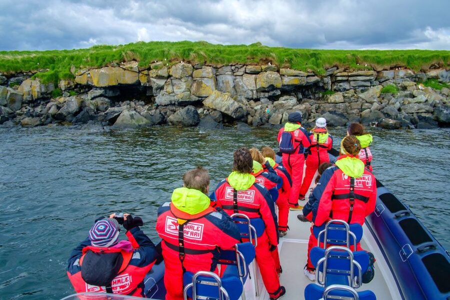Reykjavik: Puffin Watching Tour - What the guide adds to the hour