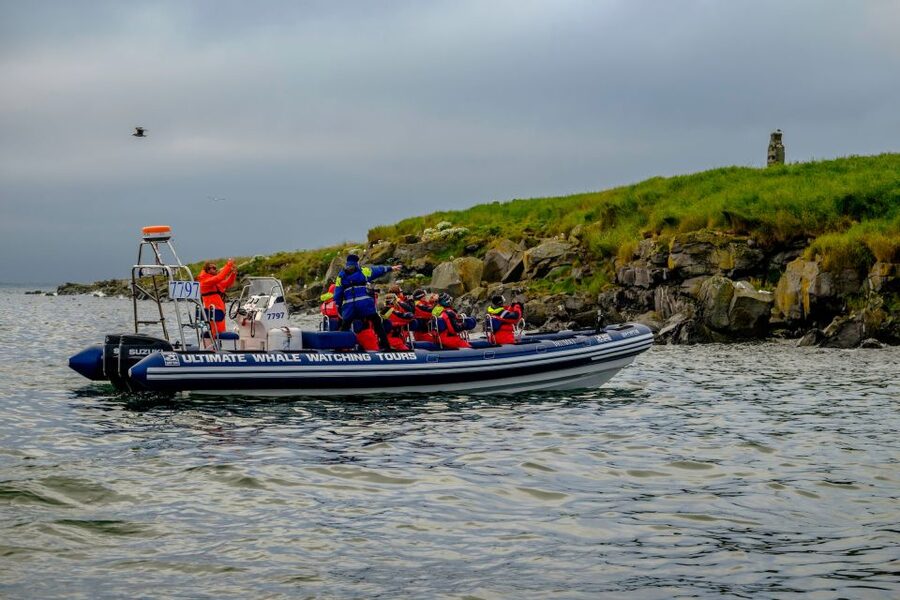 Reykjavik: Puffin Watching Tour - Photography tips for the RIB