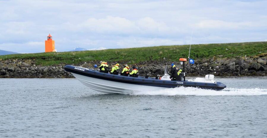 Reykjavik: Puffin Watching Tour by RIB Speedboat - A fast ride from Reykjavik’s Old Harbor