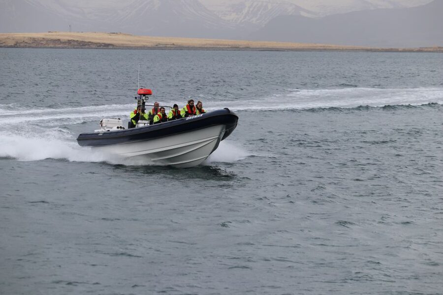 Reykjavik: Puffin Watching Tour by RIB Speedboat - Should you book this puffin tour?