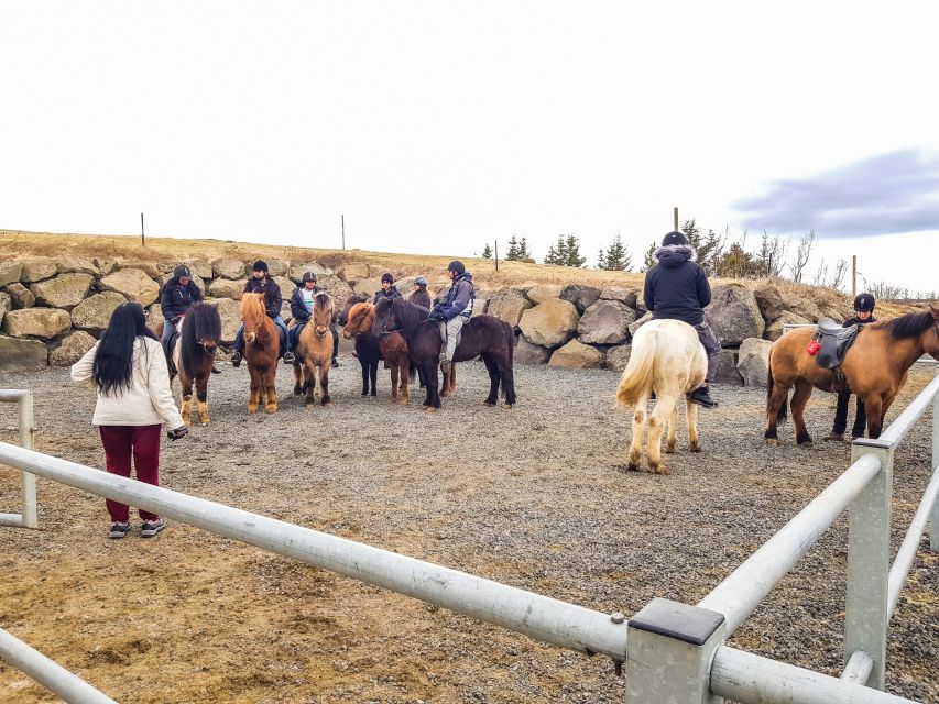 Reykjavik: Red Lava Horse Riding Tour - What to wear for Icelandic weather