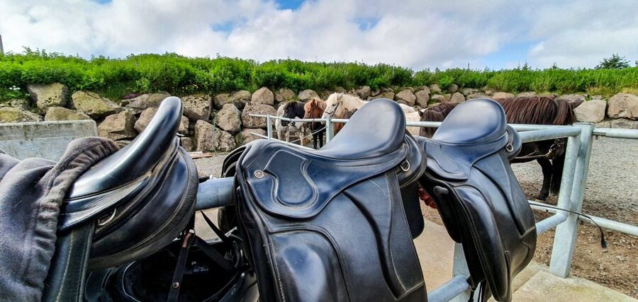 Reykjavik: Red Lava Horse Riding Tour - The small drawbacks to keep in mind