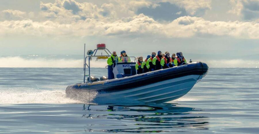 Reykjavík: RIB Speed-Boat Puffin Watching Tour - What the city looks like from the water