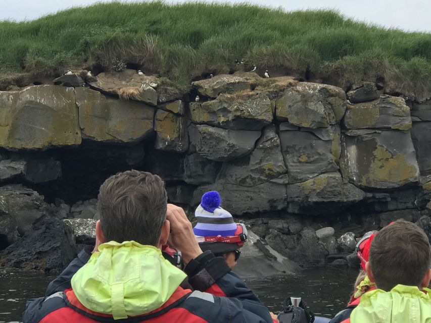 Reykjavík: RIB Speed-Boat Puffin Watching Tour - Practical tips for a better hour on the water