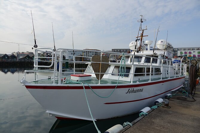 Reykjavik's Finest Catch: Guided Sea Angling Tour for All Levels - Reykjavik views, smaller islands, and puffin island